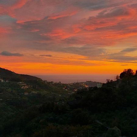 Il Nido Del Viaggiatore Vallebona Extérieur photo