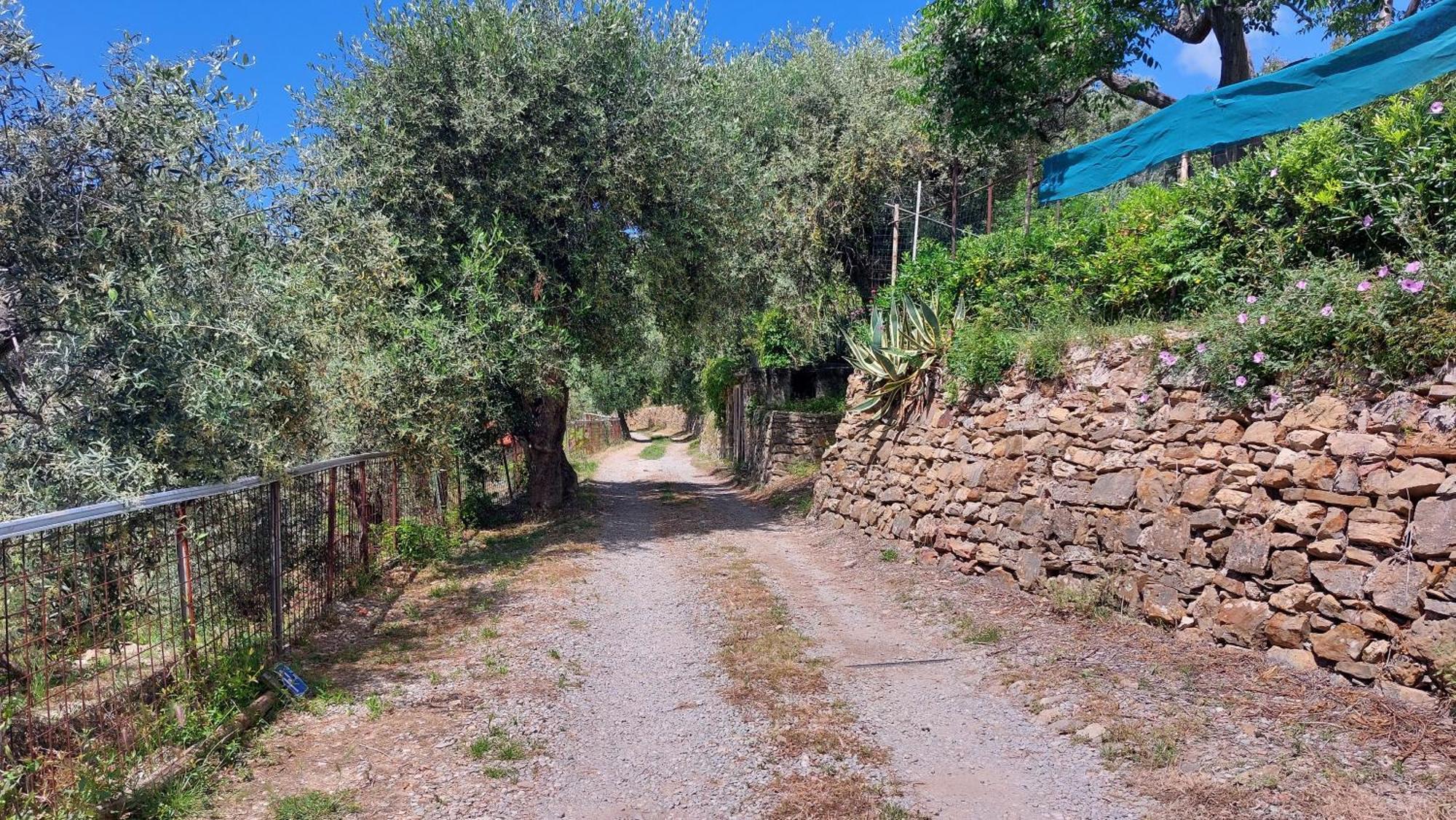 Il Nido Del Viaggiatore Vallebona Extérieur photo