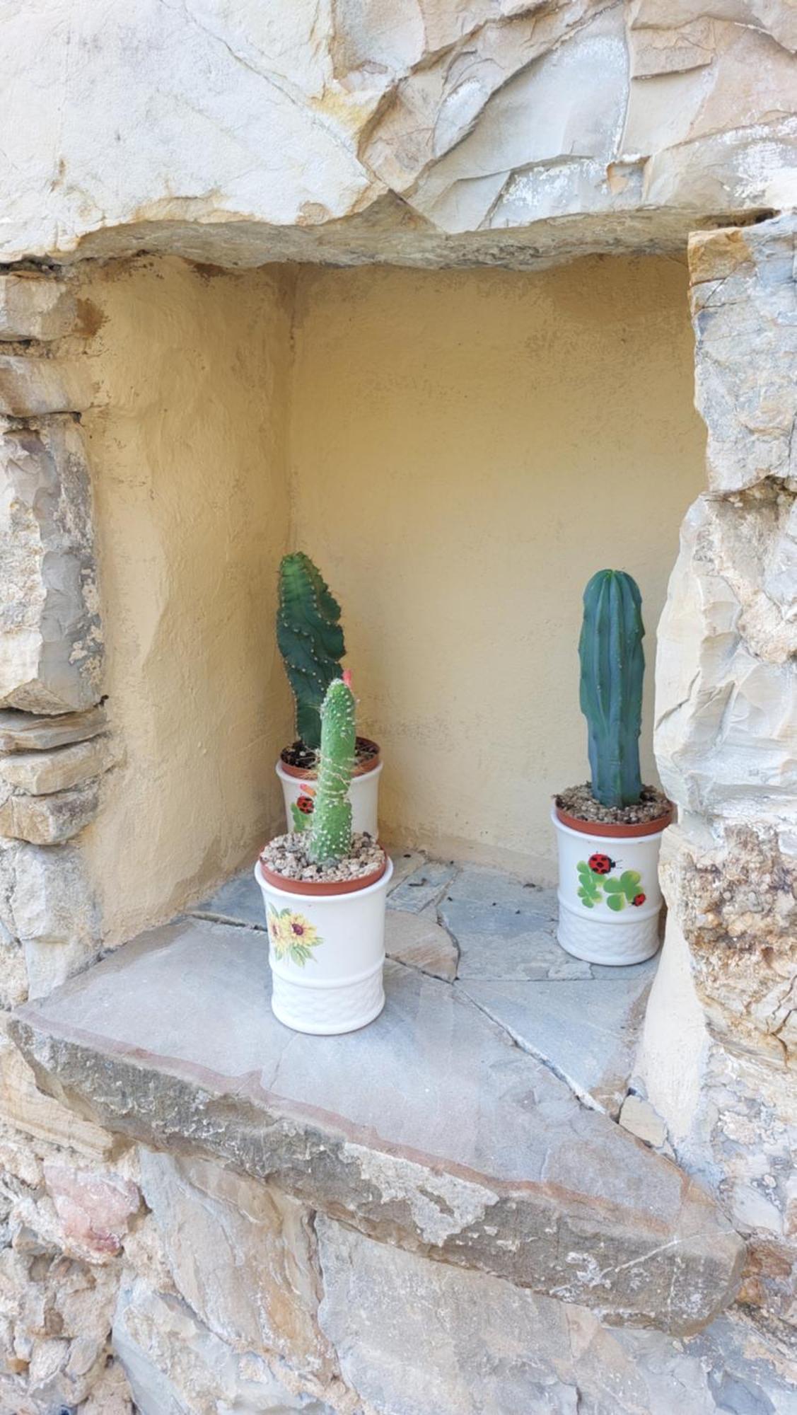 Il Nido Del Viaggiatore Vallebona Extérieur photo