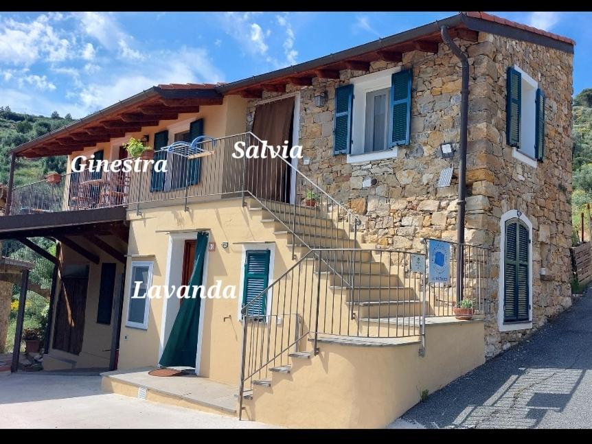 Il Nido Del Viaggiatore Vallebona Extérieur photo